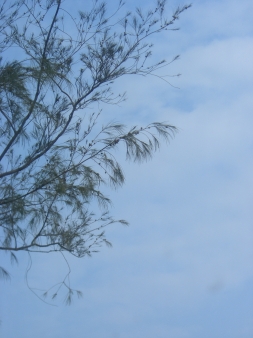 按一下檢視原圖